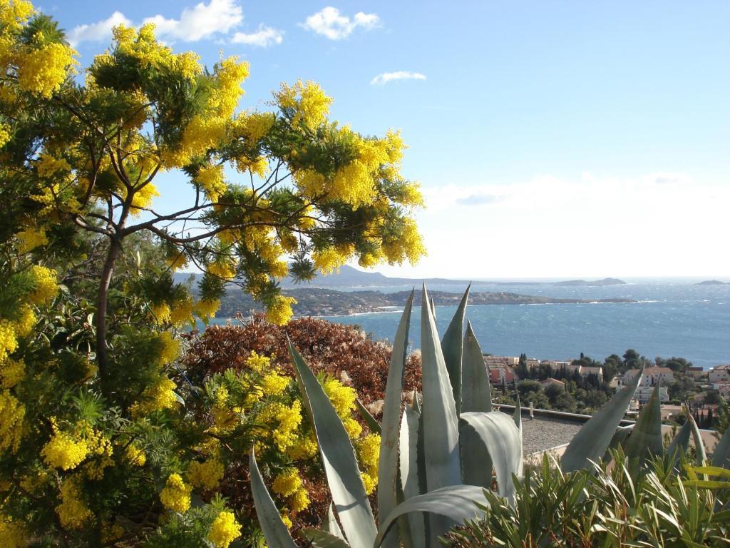 Residence Le Bosquet Bandol Eksteriør bilde